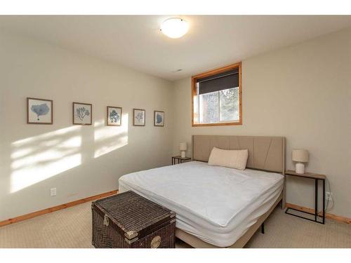 439 Summer Crescent, Rural Ponoka County, AB - Indoor Photo Showing Bedroom