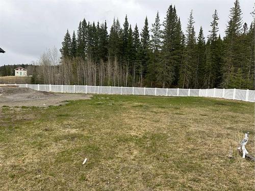 355 Elizabeth Avenue, Nordegg, AB 