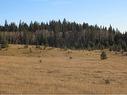 Township Road 41-0, Rural Clearwater County, AB 