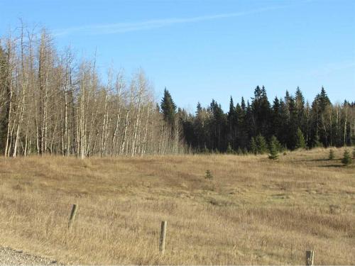 Township Road 41-0, Rural Clearwater County, AB 