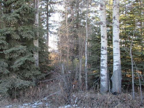 Township Road 41-0, Rural Clearwater County, AB 