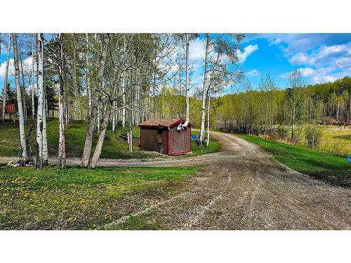 54051 Township Road 351A, Rural Clearwater County, AB - Outdoor With View