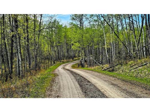 54051 Township Road 351A, Rural Clearwater County, AB - Outdoor With View