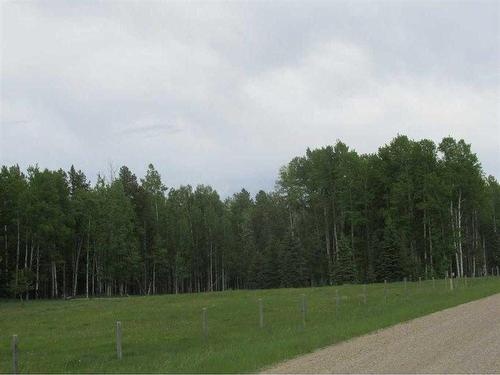 Cow Creek Road, Rural Clearwater County, AB 