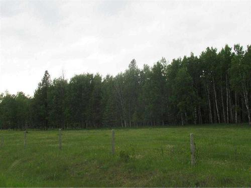 Cow Creek Road, Rural Clearwater County, AB 