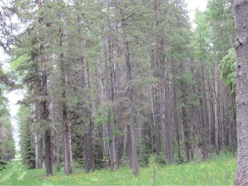 Cow Creek Road, Rural Clearwater County, AB 