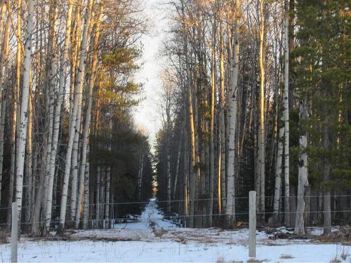 Cow Creek Road, Rural Clearwater County, AB 