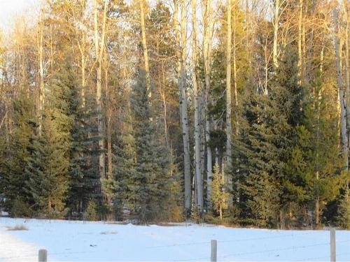 Cow Creek Road, Rural Clearwater County, AB 