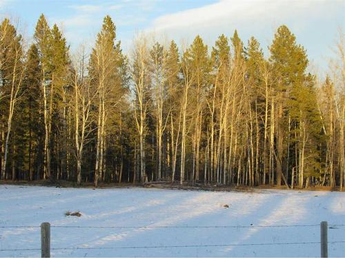 Cow Creek Road, Rural Clearwater County, AB 