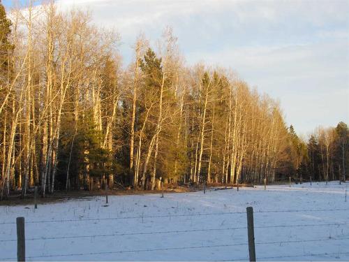 Cow Creek Road, Rural Clearwater County, AB 