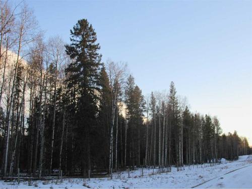 Cow Creek Road, Rural Clearwater County, AB 