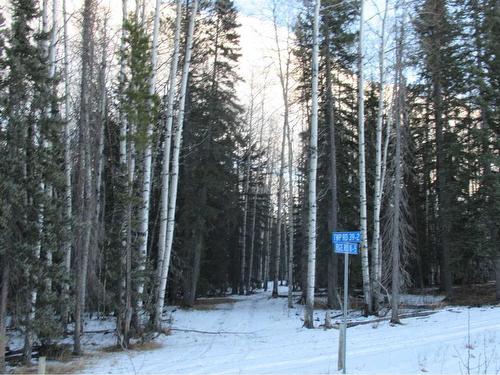 Cow Creek Road, Rural Clearwater County, AB 