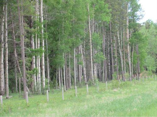 Cow Creek Road, Rural Clearwater County, AB 