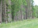 Cow Creek Road, Rural Clearwater County, AB 