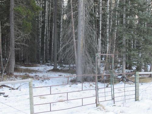 Cow Creek Road, Rural Clearwater County, AB 