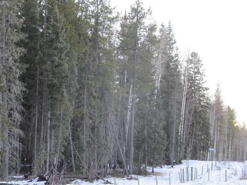 Cow Creek Road, Rural Clearwater County, AB 