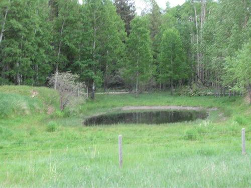 Cow Creek Road, Rural Clearwater County, AB 