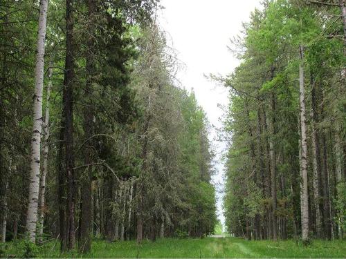 Cow Creek Road, Rural Clearwater County, AB 