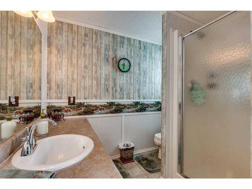 423045  Rr 10, Rural Ponoka County, AB - Indoor Photo Showing Bathroom