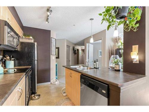 111-11445 Ellerslie Road Sw, Edmonton, AB - Indoor Photo Showing Kitchen With Double Sink