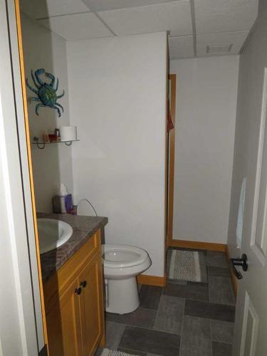 533 Raven Rise, Rural Clearwater County, AB - Indoor Photo Showing Bathroom