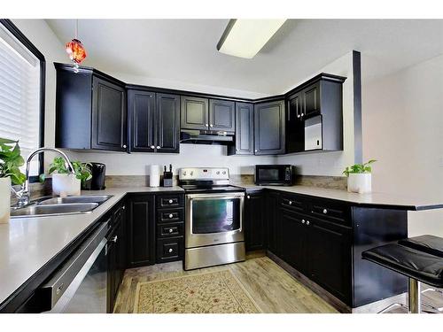 14 Harrigan Street, Sylvan Lake, AB - Indoor Photo Showing Kitchen With Double Sink
