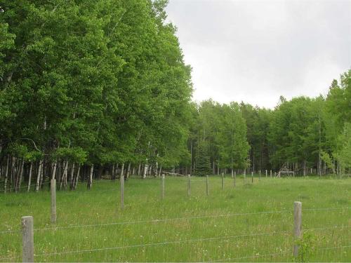 Cow Creek Road, Rural Clearwater County, AB 