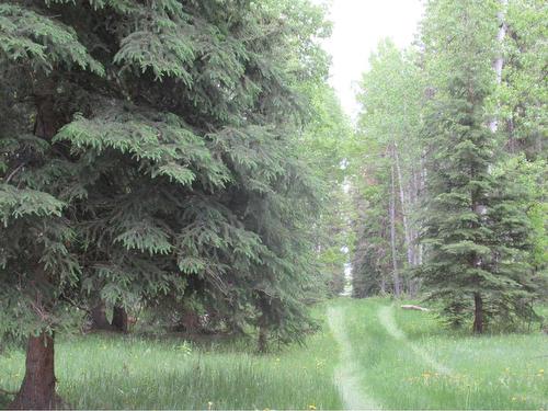 Cow Creek Road, Rural Clearwater County, AB 