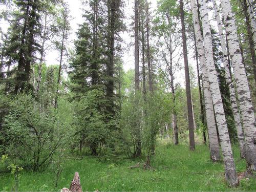 Cow Creek Road, Rural Clearwater County, AB 