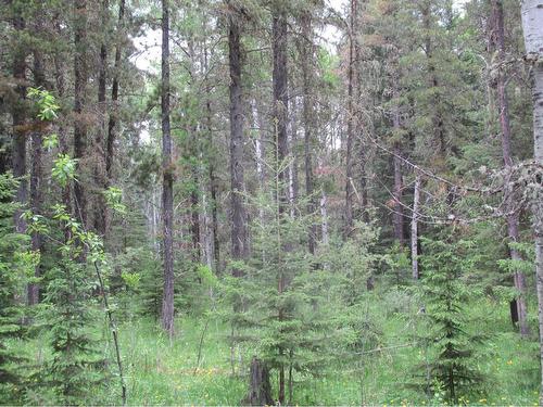 Cow Creek Road, Rural Clearwater County, AB 