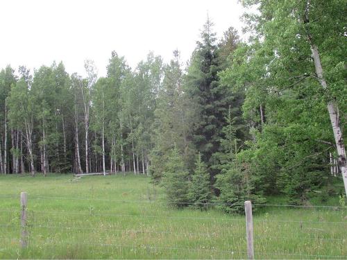 Cow Creek Road, Rural Clearwater County, AB 