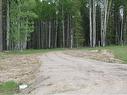 Cow Creek Road, Rural Clearwater County, AB 