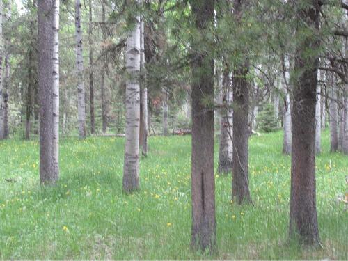 Cow Creek Road, Rural Clearwater County, AB 