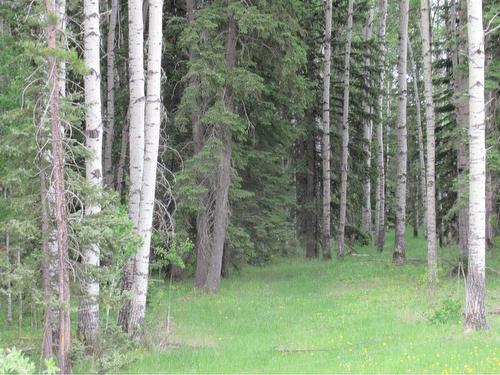 Cow Creek Road, Rural Clearwater County, AB 