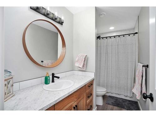 1-421008 Range Road 14, Rural Ponoka County, AB - Indoor Photo Showing Bathroom