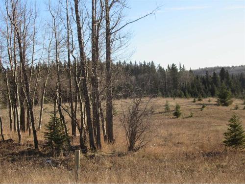 Township Road 41-0, Rural Clearwater County, AB 