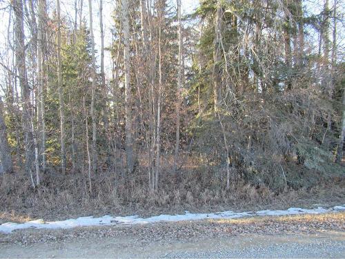 Township Road 41-0, Rural Clearwater County, AB 