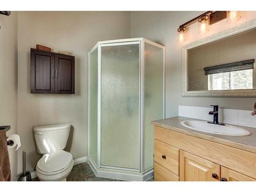 217-36078 Range Road 245 A, Rural Red Deer County, AB - Indoor Photo Showing Bathroom