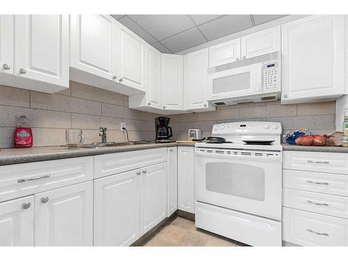 316 Wiley Crescent, Red Deer, AB - Indoor Photo Showing Kitchen