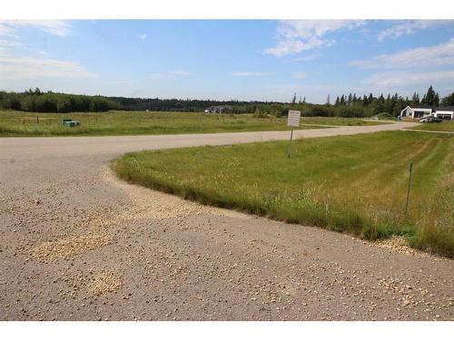 1120-49320 Rge Rd 240A, Rural Leduc County, AB 