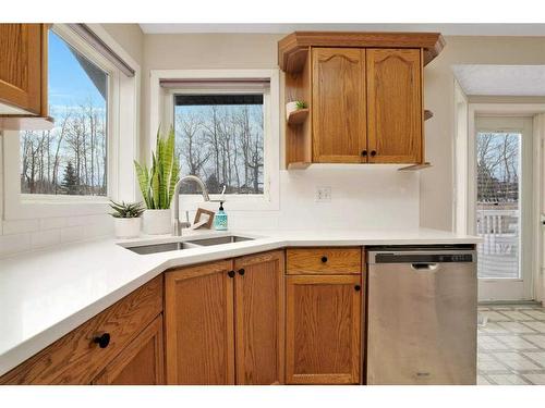 8 Pritchard Close, Sylvan Lake, AB - Indoor Photo Showing Kitchen With Double Sink