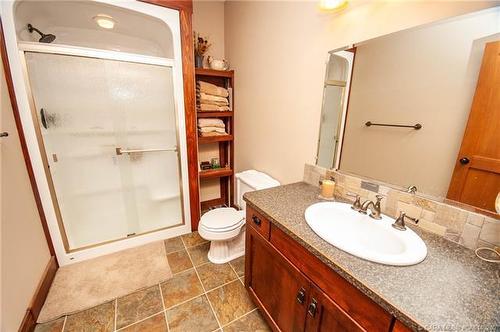 37473 Range Road 223, Rural Red Deer County, AB - Indoor Photo Showing Bathroom