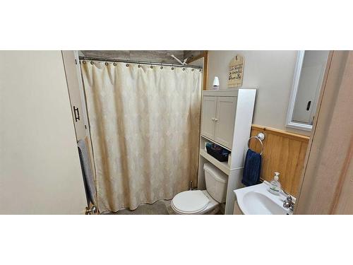 40313 Range Road 131, Rural Flagstaff County, AB - Indoor Photo Showing Bathroom