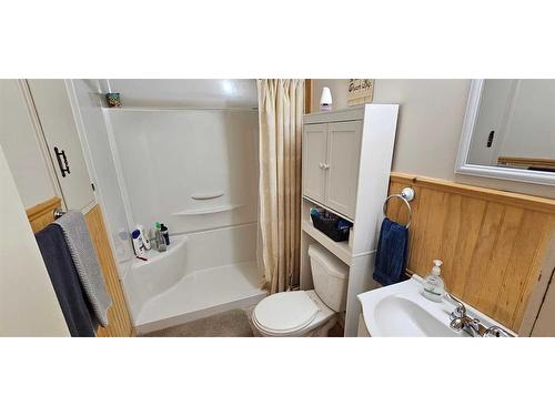 40313 Range Road 131, Rural Flagstaff County, AB - Indoor Photo Showing Bathroom