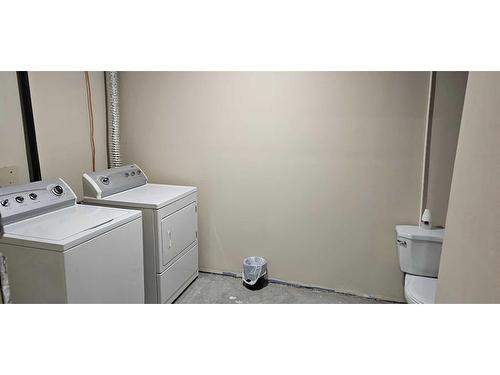 40313 Range Road 131, Rural Flagstaff County, AB - Indoor Photo Showing Laundry Room