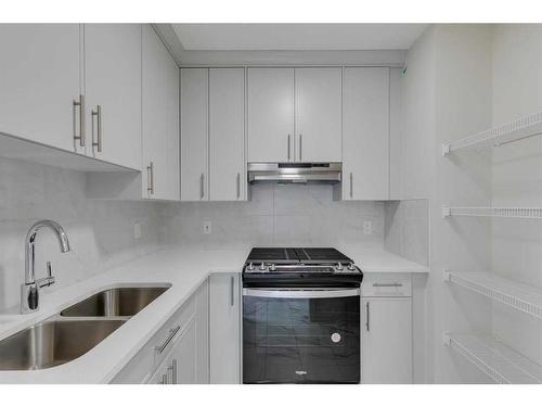 130 Homestead Crescent Ne, Calgary, AB - Indoor Photo Showing Kitchen With Double Sink