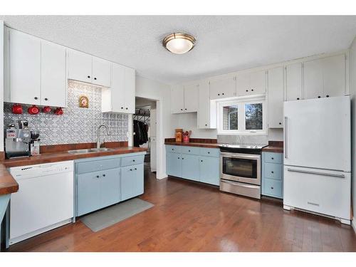63020 Township Road 41-0, Rural Clearwater County, AB - Indoor Photo Showing Kitchen With Double Sink