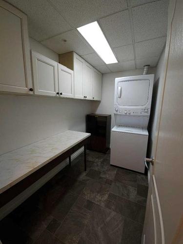 320-6 Michener Boulevard, Red Deer, AB - Indoor Photo Showing Laundry Room
