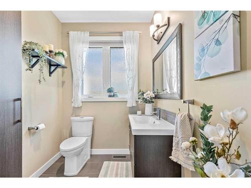 8-40419 Range Road 10, Rural Lacombe County, AB - Indoor Photo Showing Bathroom