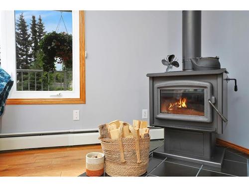 136 3 Rd Avenue South, Big Valley, AB - Indoor With Fireplace